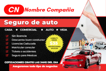 Car Insurance Postcard 4 4x6 Español