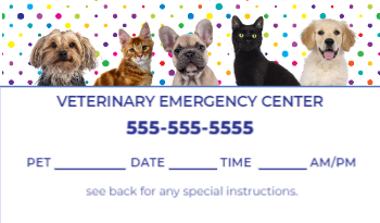Veterinary Business Card 2