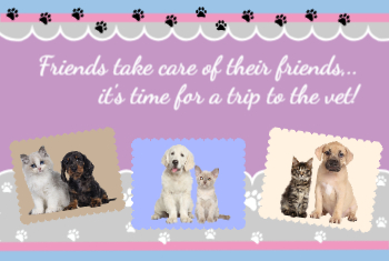 Veterinary Postcard 1 4x6