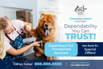 Pet Grooming Practico